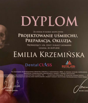 Certyfikat-Krzeminska-003
