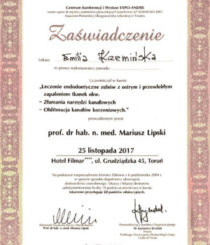 Certyfikat-Krzeminska-007