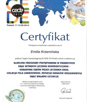 Certyfikat-Krzeminska-017